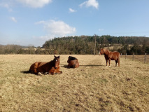 IMG_20220228_123415