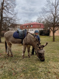 IMG_20220305_143340